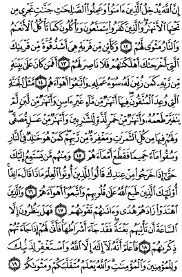 سوره محمد